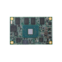 Information about COM Express Type 10 模块